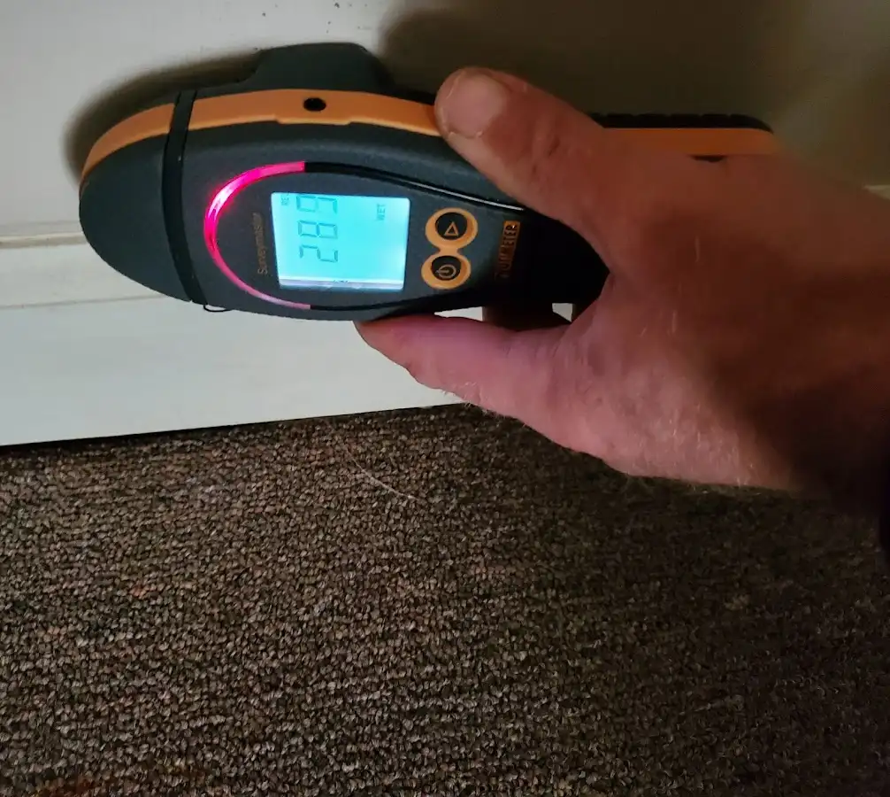 Moisture detection at baseboard during Burst Pipe Cleanup in Stafford